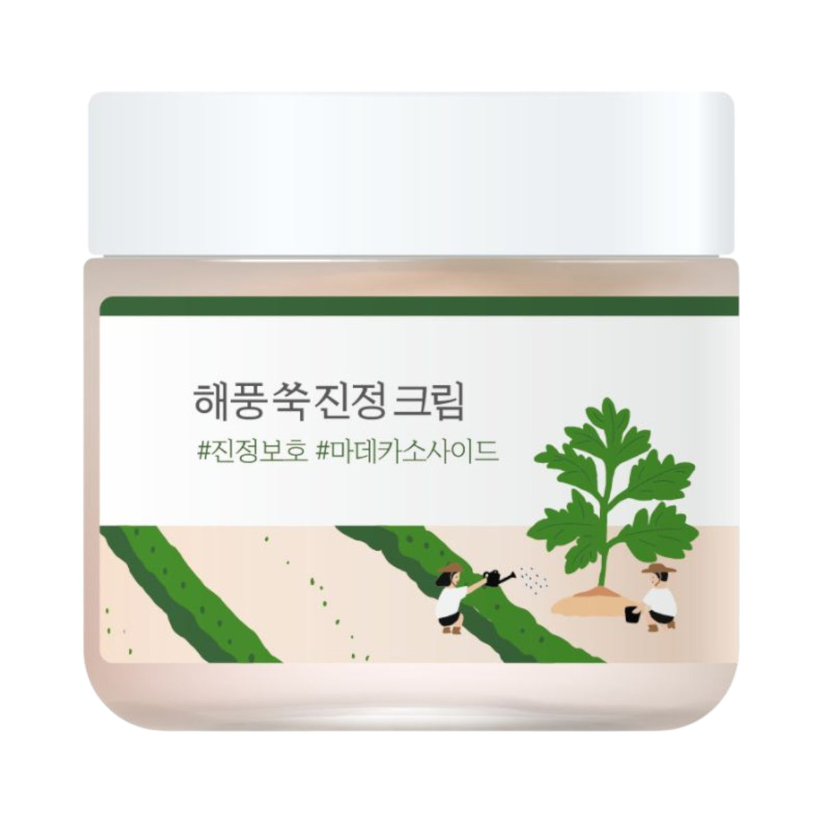 ROUND LAB-Mugwort Calming Cream